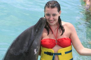 Read Alice's Blog