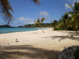The beach The beach